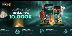 Cá Độ Thể Thao Online 8DAY Cần Nắm Vững Lý Thuyết Gì?