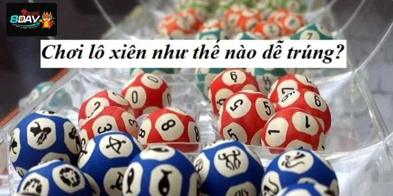 Một số cách để chọn cầu dàn xiên chuẩn dành cho tân thủ.