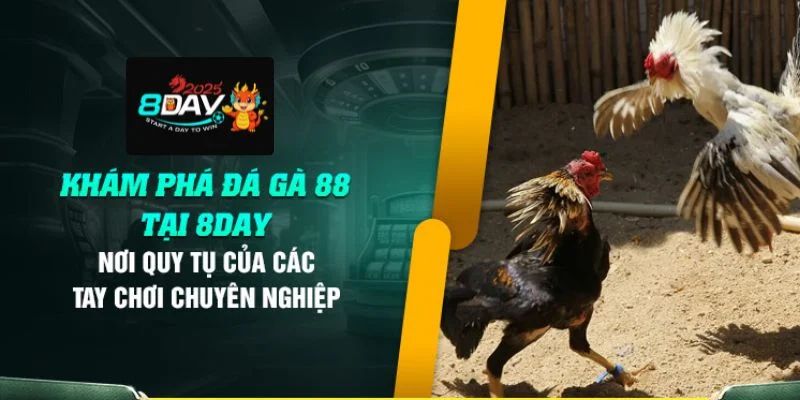 Sảnh đá gà 8DAY khai thác và cung cấp rất nhiều trận đấu lớn hấp dẫn.