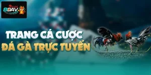 Đá Gà Online 8DAY - Trường Gà Chuyên Nghiệp, Xanh Chín