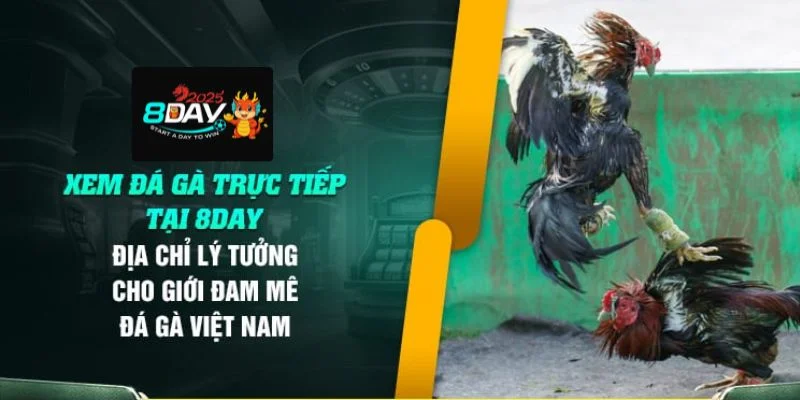 Có rất nhiều ưu điểm làm nên lợi thế của sảnh đá gà online 8DAY