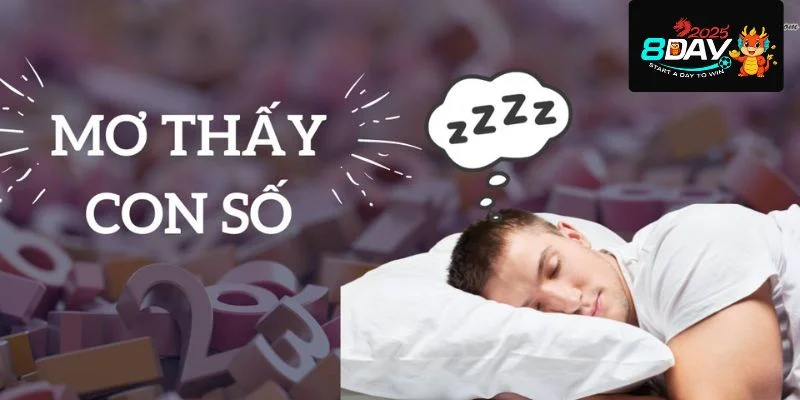 Người ta tin rằng mỗi giấc mơ đều mở ra những con số đẹp.
