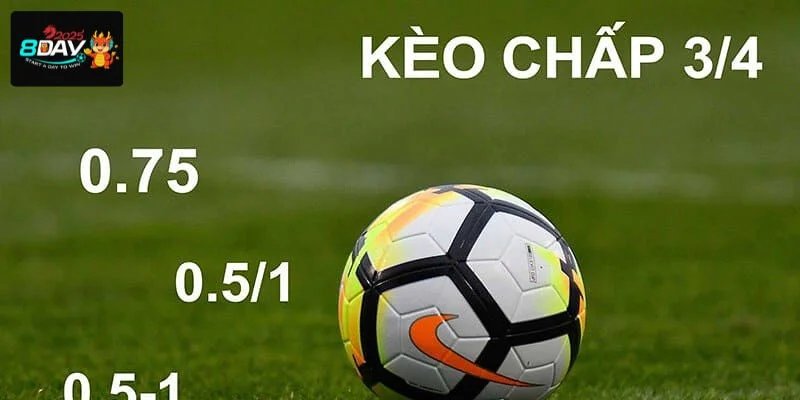 Một vài gợi ý giúp bet thủ tự tin chốt kèo ¾ tại 8DAY.