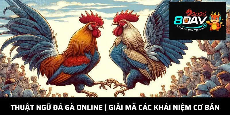 Tìm hiểu về khái niệm đá gà là thông tin rất quan trọng với chiến kê.