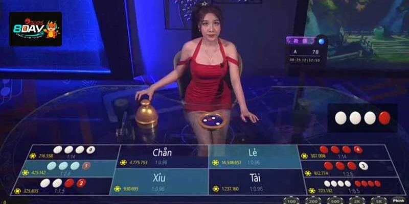 Xóc đĩa tại 8DAY là game chơi được bet thủ yêu thích, đam mê.